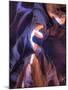 USA, Arizona, Page, Upper Antelope Canyon-Michele Falzone-Mounted Photographic Print