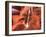 USA, Arizona, Page, Upper Antelope Canyon-Michele Falzone-Framed Photographic Print