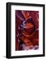 USA, Arizona, Paige. Rock Patterns in Antelope Canyon-Jay O'brien-Framed Photographic Print