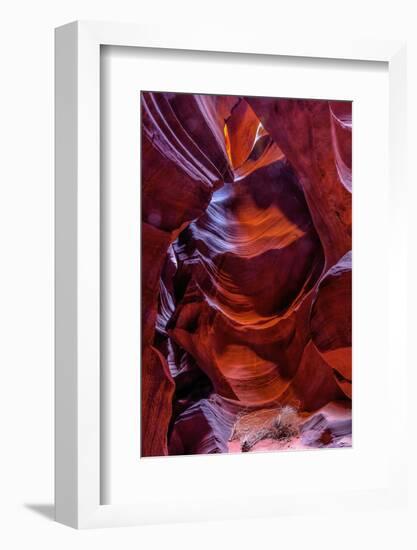 USA, Arizona, Paige. Rock Patterns in Antelope Canyon-Jay O'brien-Framed Photographic Print