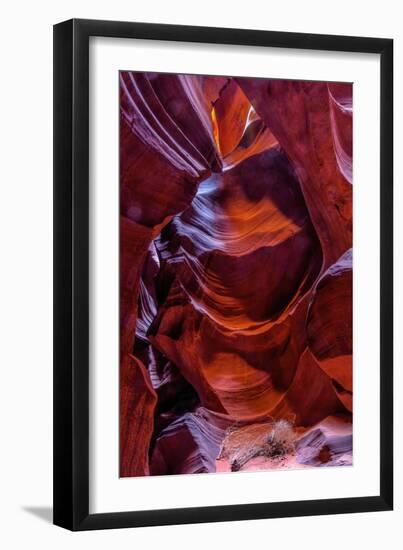 USA, Arizona, Paige. Rock Patterns in Antelope Canyon-Jay O'brien-Framed Photographic Print