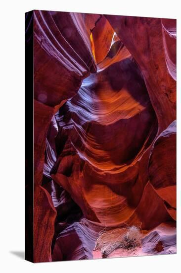USA, Arizona, Paige. Rock Patterns in Antelope Canyon-Jay O'brien-Stretched Canvas