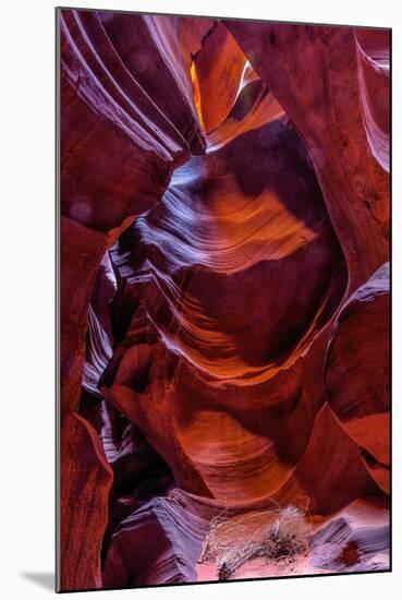 USA, Arizona, Paige. Rock Patterns in Antelope Canyon-Jay O'brien-Mounted Photographic Print
