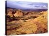 USA, Arizona, Paria Canyon-Jaynes Gallery-Stretched Canvas