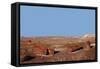 USA, Arizona, Petrified Forest National Park. Crystal Forest-Kymri Wilt-Framed Stretched Canvas