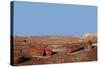 USA, Arizona, Petrified Forest National Park. Crystal Forest-Kymri Wilt-Stretched Canvas