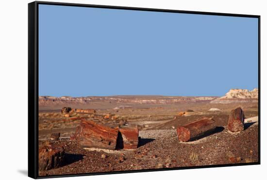 USA, Arizona, Petrified Forest National Park. Crystal Forest-Kymri Wilt-Framed Stretched Canvas