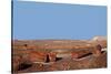 USA, Arizona, Petrified Forest National Park. Crystal Forest-Kymri Wilt-Stretched Canvas