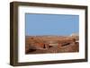 USA, Arizona, Petrified Forest National Park. Crystal Forest-Kymri Wilt-Framed Photographic Print