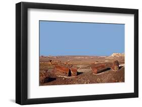 USA, Arizona, Petrified Forest National Park. Crystal Forest-Kymri Wilt-Framed Photographic Print