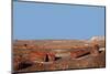 USA, Arizona, Petrified Forest National Park. Crystal Forest-Kymri Wilt-Mounted Photographic Print