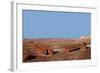 USA, Arizona, Petrified Forest National Park. Crystal Forest-Kymri Wilt-Framed Photographic Print