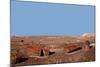 USA, Arizona, Petrified Forest National Park. Crystal Forest-Kymri Wilt-Mounted Photographic Print