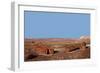 USA, Arizona, Petrified Forest National Park. Crystal Forest-Kymri Wilt-Framed Photographic Print