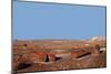 USA, Arizona, Petrified Forest National Park. Crystal Forest-Kymri Wilt-Mounted Photographic Print