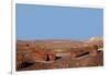 USA, Arizona, Petrified Forest National Park. Crystal Forest-Kymri Wilt-Framed Photographic Print