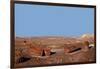 USA, Arizona, Petrified Forest National Park. Crystal Forest-Kymri Wilt-Framed Photographic Print