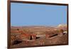 USA, Arizona, Petrified Forest National Park. Crystal Forest-Kymri Wilt-Framed Photographic Print