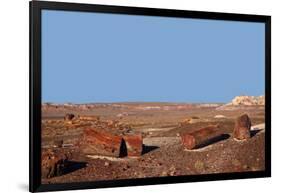 USA, Arizona, Petrified Forest National Park. Crystal Forest-Kymri Wilt-Framed Photographic Print