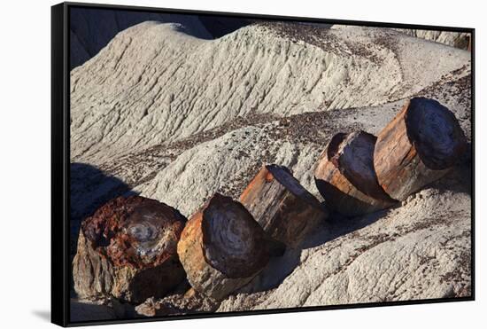 USA, Arizona, Petrified Forest National Park. Fallen Logs in Blue Mesa Badlands-Kymri Wilt-Framed Stretched Canvas