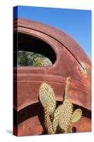 USA, Arizona, Route 66, Rusty Car Body, Cactus-Catharina Lux-Stretched Canvas