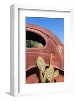 USA, Arizona, Route 66, Rusty Car Body, Cactus-Catharina Lux-Framed Photographic Print