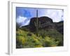 USA, Arizona, Saguaro Cacti in Organ Pipe Cactus National Monument-Jaynes Gallery-Framed Photographic Print