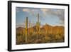 USA, Arizona, Saguaro National Park. Desert Landscape-Cathy & Gordon Illg-Framed Photographic Print