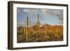 USA, Arizona, Saguaro National Park. Desert Landscape-Cathy & Gordon Illg-Framed Photographic Print