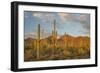 USA, Arizona, Saguaro National Park. Desert Landscape-Cathy & Gordon Illg-Framed Photographic Print