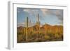 USA, Arizona, Saguaro National Park. Desert Landscape-Cathy & Gordon Illg-Framed Photographic Print