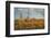 USA, Arizona, Saguaro National Park. Desert Landscape-Cathy & Gordon Illg-Framed Photographic Print