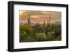 USA, Arizona, Saguaro National Park. Desert Landscape-Cathy & Gordon Illg-Framed Premium Photographic Print