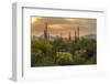 USA, Arizona, Saguaro National Park. Desert Landscape-Cathy & Gordon Illg-Framed Premium Photographic Print