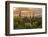 USA, Arizona, Saguaro National Park. Desert Landscape-Cathy & Gordon Illg-Framed Photographic Print