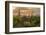 USA, Arizona, Saguaro National Park. Desert Landscape-Cathy & Gordon Illg-Framed Photographic Print