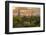 USA, Arizona, Saguaro National Park. Desert Landscape-Cathy & Gordon Illg-Framed Photographic Print