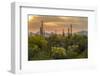 USA, Arizona, Saguaro National Park. Desert Landscape-Cathy & Gordon Illg-Framed Photographic Print