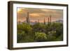 USA, Arizona, Saguaro National Park. Desert Landscape-Cathy & Gordon Illg-Framed Photographic Print