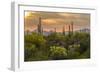 USA, Arizona, Saguaro National Park. Desert Landscape-Cathy & Gordon Illg-Framed Photographic Print