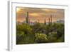 USA, Arizona, Saguaro National Park. Desert Landscape-Cathy & Gordon Illg-Framed Photographic Print