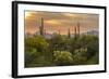 USA, Arizona, Saguaro National Park. Desert Landscape-Cathy & Gordon Illg-Framed Photographic Print