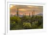 USA, Arizona, Saguaro National Park. Desert Landscape-Cathy & Gordon Illg-Framed Photographic Print