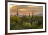 USA, Arizona, Saguaro National Park. Desert Landscape-Cathy & Gordon Illg-Framed Photographic Print