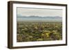 USA, Arizona, Saguaro National Park. Desert Landscape-Cathy & Gordon Illg-Framed Photographic Print