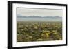 USA, Arizona, Saguaro National Park. Desert Landscape-Cathy & Gordon Illg-Framed Photographic Print