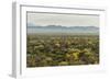 USA, Arizona, Saguaro National Park. Desert Landscape-Cathy & Gordon Illg-Framed Photographic Print