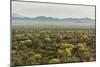 USA, Arizona, Saguaro National Park. Desert Landscape-Cathy & Gordon Illg-Mounted Photographic Print