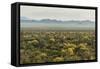 USA, Arizona, Saguaro National Park. Desert Landscape-Cathy & Gordon Illg-Framed Stretched Canvas