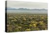 USA, Arizona, Saguaro National Park. Desert Landscape-Cathy & Gordon Illg-Stretched Canvas